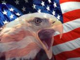 American Eagle & Flag